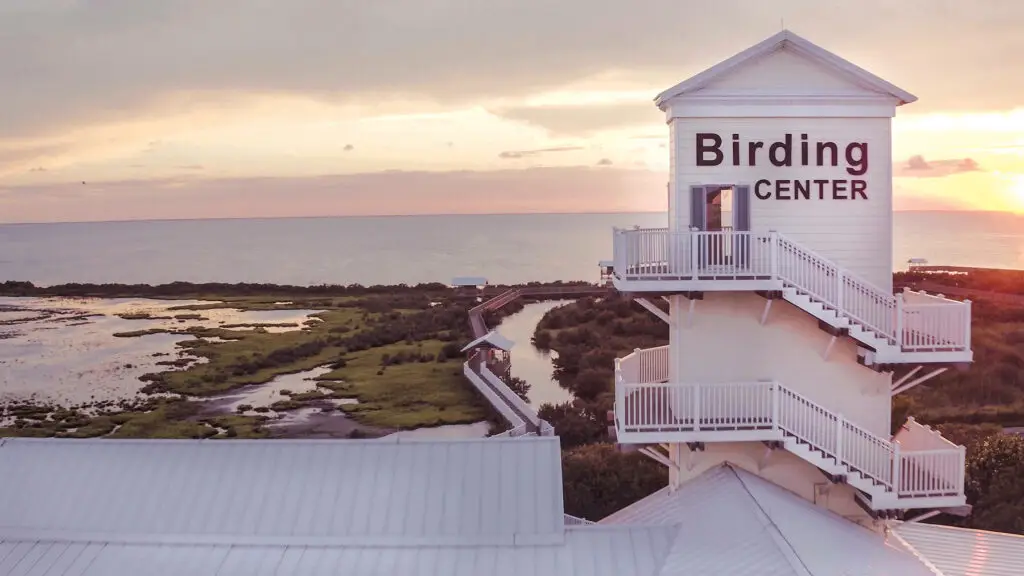 La torre del Birding Center sobre la marisma al atardecer